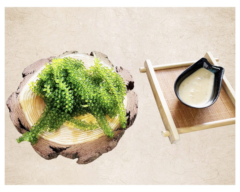 rong nho Green Food