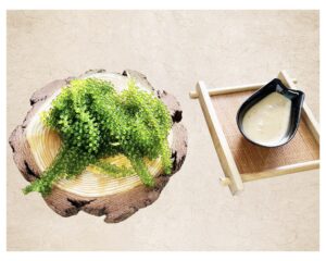 rong nho Green Food