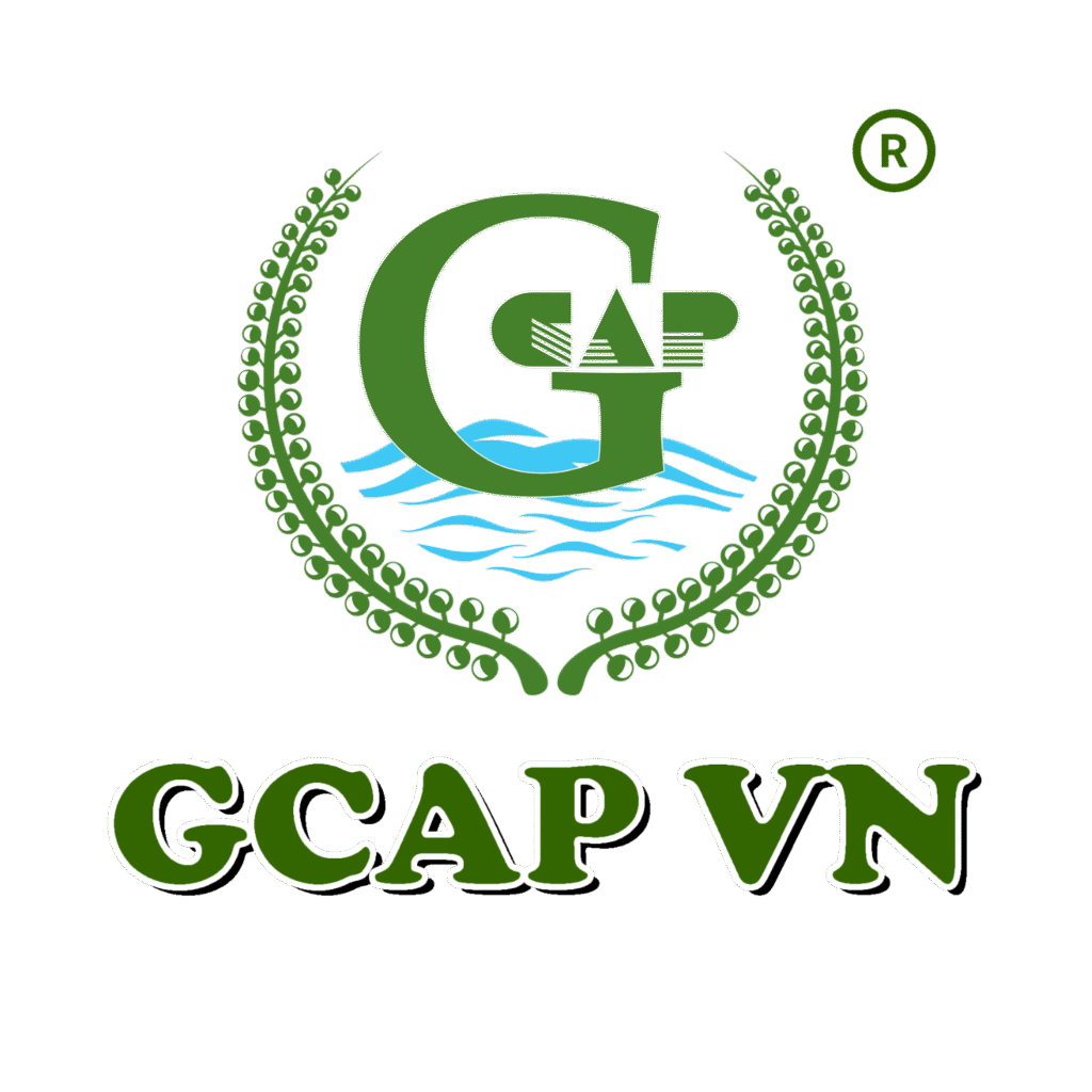GCAP VN